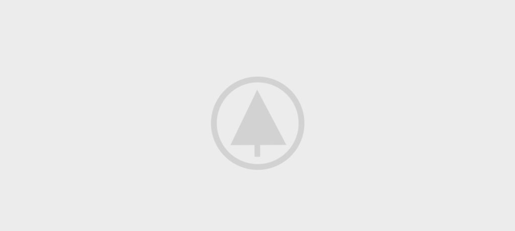 wood-gallery-placeholder-4 wood-gallery-placeholder-4